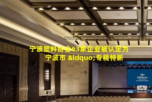 kaiyun官网-宁波塑料协会63家企业被认定为宁波市 “专精特新”中小企业